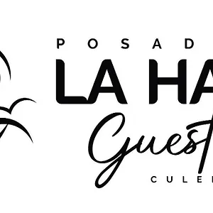  Mini-hôtel La Hamaca Porto Rico